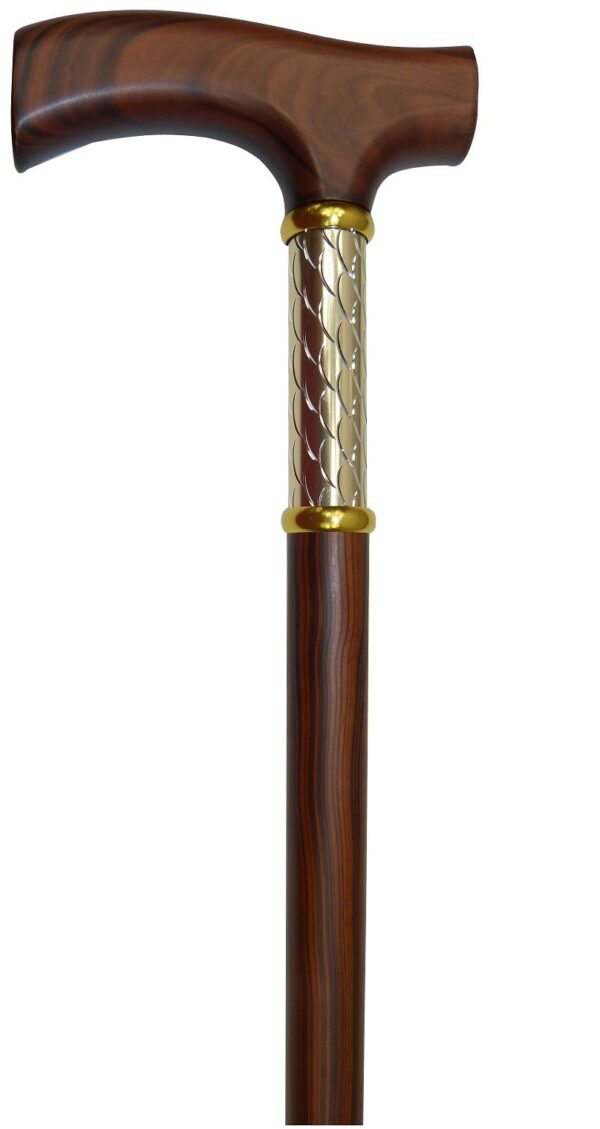 Canne de marche AQ678