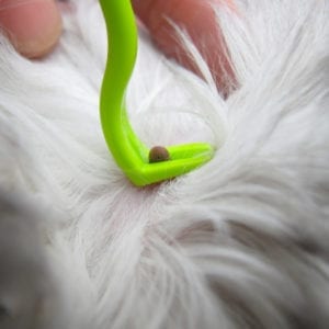 tire-tique-clip-box-utilisation-2 tire-tique-clip-box-utilisation-2